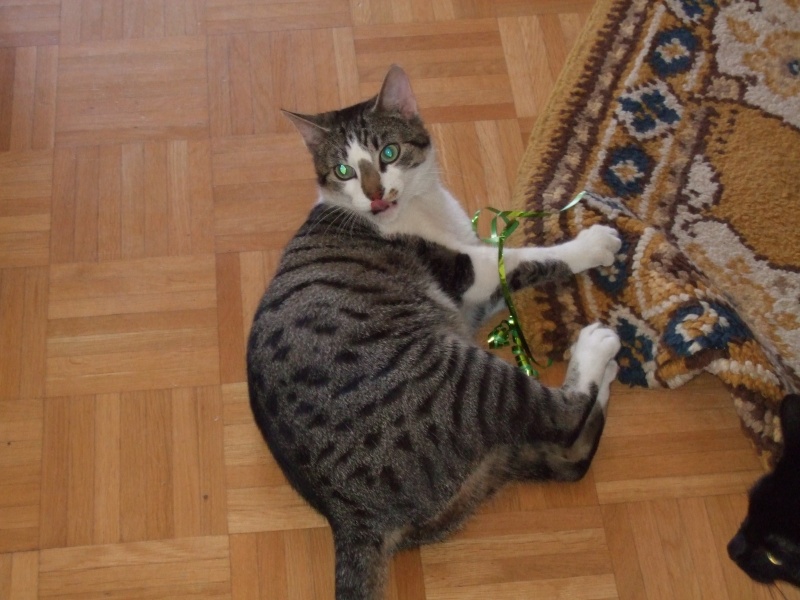 Ostern 2007 Orleshausen 127 